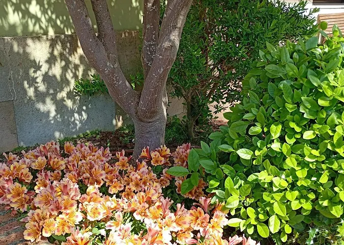 La Boz, Nucleo Turístico Rural Resort