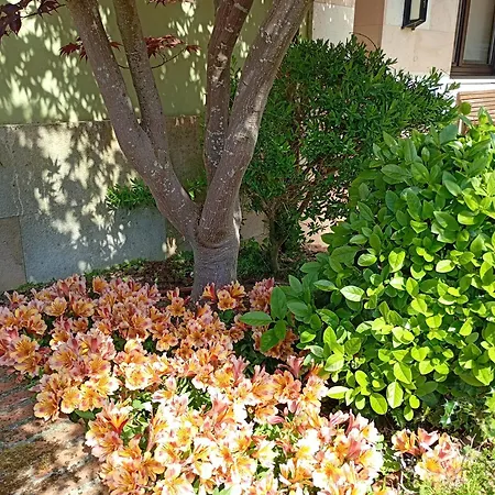 La Boz, Nucleo Turistico Rural אתר נופש